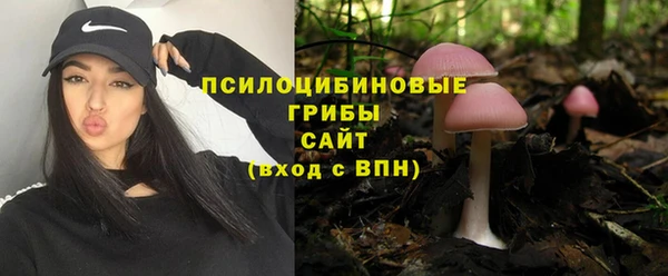 шишки Алексин