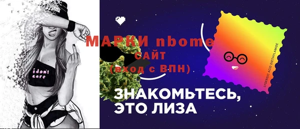шишки Алексин