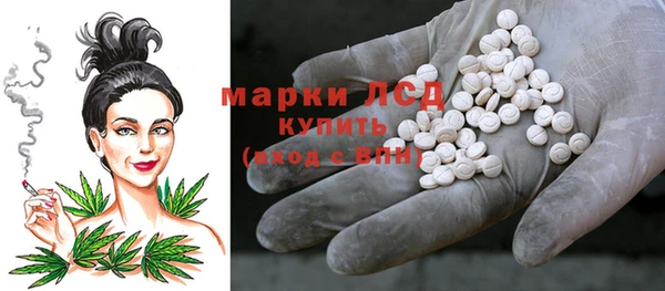 прущие грибы Алзамай