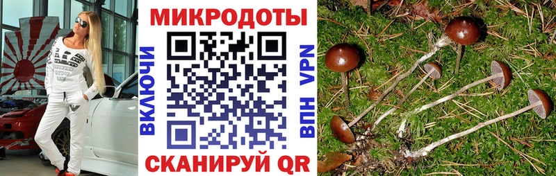 сколько стоит  Октябрьский  Псилоцибиновые грибы GOLDEN TEACHER 